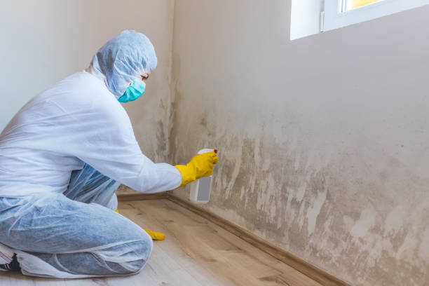 Hvac And Air Duct Mold Remediation inspection of HVAC system in Gloucester